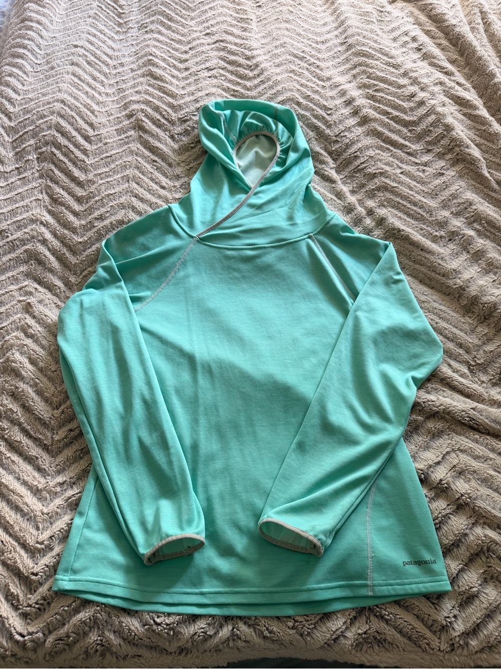 Patagonia Mint Green Hooded Pullover